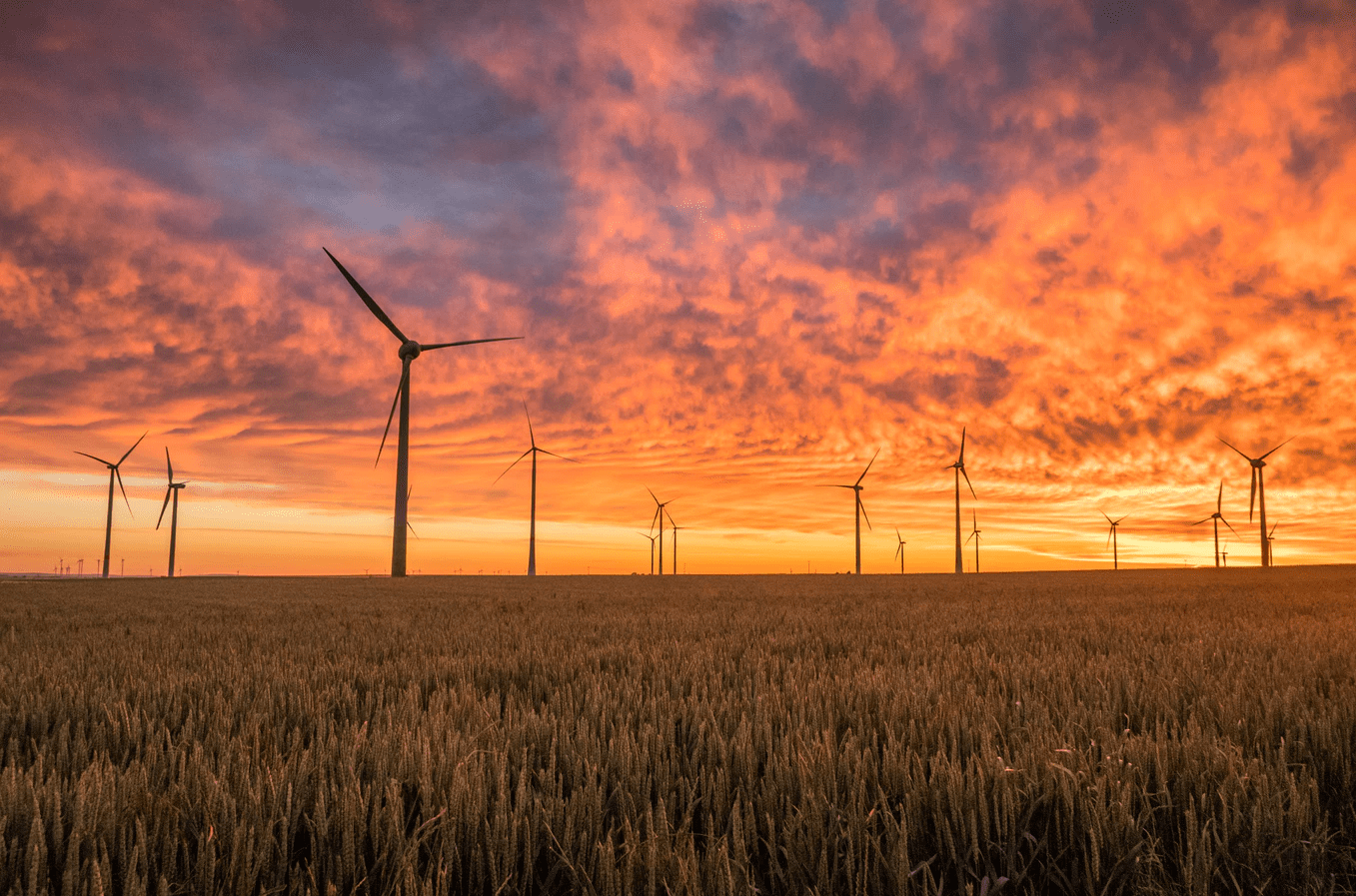Wind turbines producing clean energy